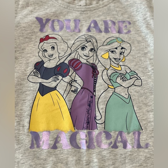 DISNEY Princess Gray Long Sleeve Graphic Tee with Ruffles - Toddler Girls 5T - Picture 2 of 4